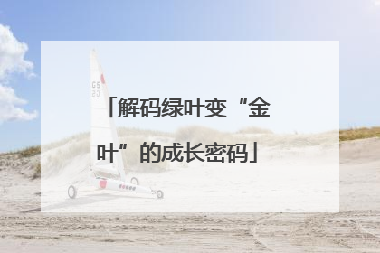解码绿叶变“金叶”的成长密码