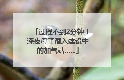 过程不到2分钟！深夜母子潜入建设中的加气站……