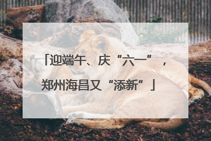迎端午、庆“六一”，郑州海昌又“添新”