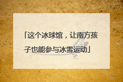 这个冰球馆，让南方孩子也能参与冰雪运动