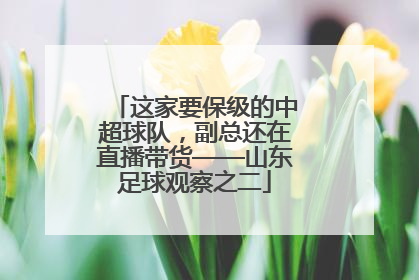 这家要保级的中超球队，副总还在直播带货——山东足球观察之二