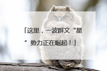 这里，一波群文“星”势力正在崛起！