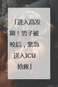进入高发期！男子被咬后，紧急送入ICU抢救