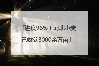 进度96%！河北小麦已收获3000余万亩