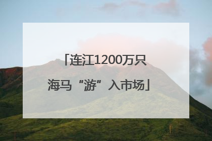 连江1200万只海马“游”入市场
