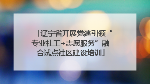 辽宁省开展党建引领“专业社工+志愿服务”融合试点社区建设培训
