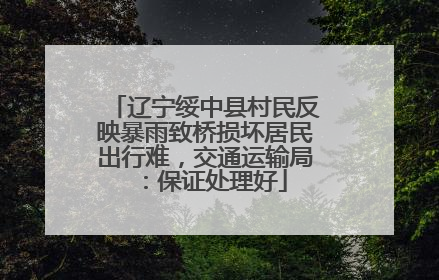 辽宁绥中县村民反映暴雨致桥损坏居民出行难，交通运输局：保证处理好