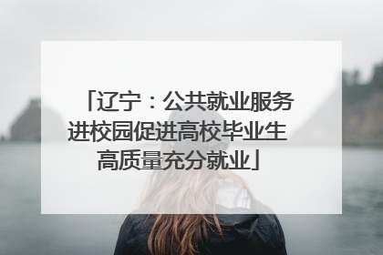 辽宁：公共就业服务进校园促进高校毕业生高质量充分就业
