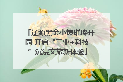 辽源黑金小镇璀璨开园 开启“工业+科技”沉浸文旅新体验