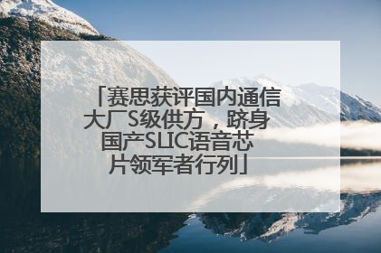 赛思获评国内通信大厂S级供方，跻身国产SLIC语音芯片领军者行列