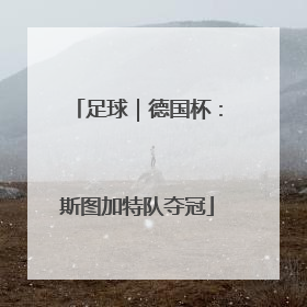 足球｜德国杯：斯图加特队夺冠