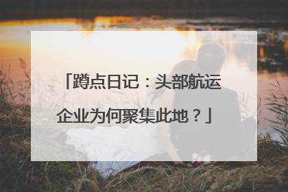 蹲点日记：头部航运企业为何聚集此地？
