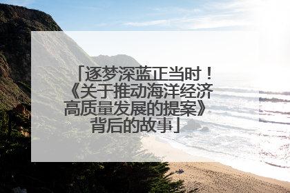 逐梦深蓝正当时！《关于推动海洋经济高质量发展的提案》背后的故事