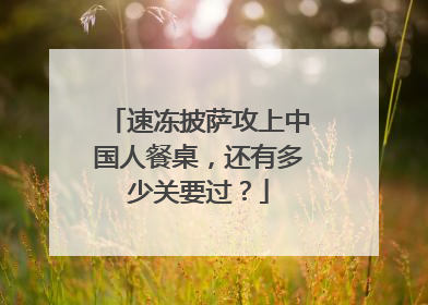 速冻披萨攻上中国人餐桌，还有多少关要过？