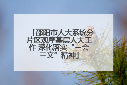 邵阳市人大系统分片区观摩基层人大工作 深化落实“三会三文”精神