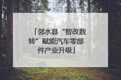 邻水县“智改数转”赋能汽车零部件产业升级