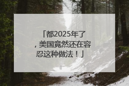 都2025年了，美国竟然还在容忍这种做法！