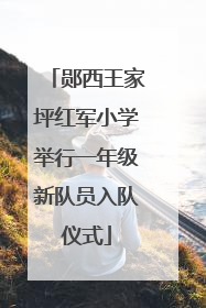 郧西王家坪红军小学举行一年级新队员入队仪式