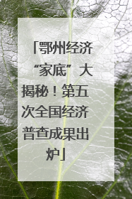 鄂州经济“家底”大揭秘！第五次全国经济普查成果出炉