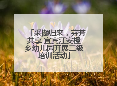 采撷归来，芬芳共享 宜宾江安橙乡幼儿园开展二级培训活动
