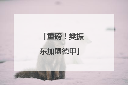 重磅！樊振东加盟德甲