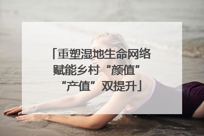 重塑湿地生命网络 赋能乡村“颜值”“产值”双提升
