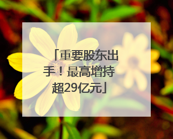 重要股东出手！最高增持超29亿元