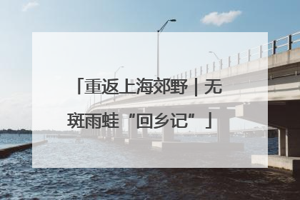 重返上海郊野｜无斑雨蛙“回乡记”
