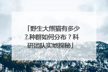 野生大熊猫有多少？种群如何分布？科研团队实地探秘