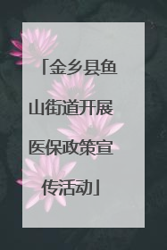 金乡县鱼山街道开展医保政策宣传活动