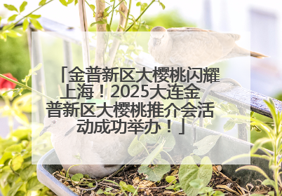 金普新区大樱桃闪耀上海！2025大连金普新区大樱桃推介会活动成功举办！
