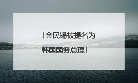 金民锡被提名为韩国国务总理