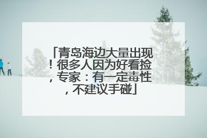 青岛海边大量出现！很多人因为好看捡，专家：有一定毒性，不建议手碰