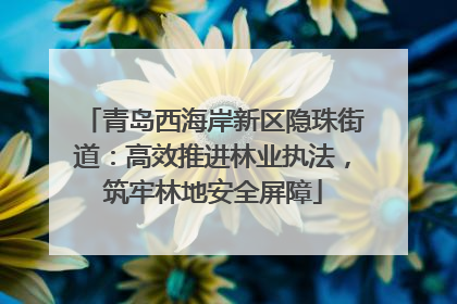 青岛西海岸新区隐珠街道：高效推进林业执法，筑牢林地安全屏障