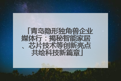 青岛隐形独角兽企业媒体行：揭秘智能家居、芯片技术等创新亮点 共绘科技新篇章