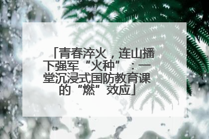 青春淬火，连山播下强军“火种”：一堂沉浸式国防教育课的“燃”效应