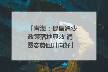 青海：提振消费政策落地显效 消费态势回升向好