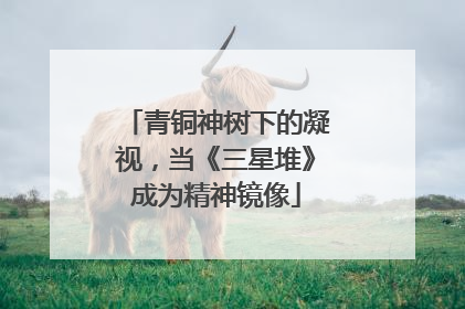 青铜神树下的凝视，当《三星堆》成为精神镜像