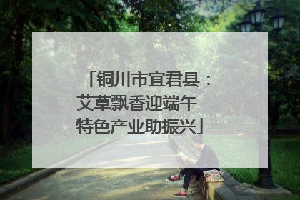 铜川市宜君县：艾草飘香迎端午 特色产业助振兴