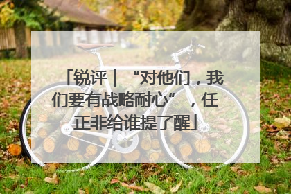锐评｜“对他们，我们要有战略耐心”，任正非给谁提了醒
