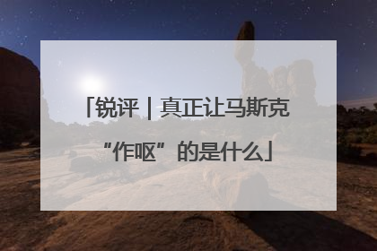 锐评｜真正让马斯克“作呕”的是什么