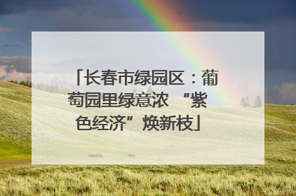 长春市绿园区：葡萄园里绿意浓 “紫色经济”焕新枝