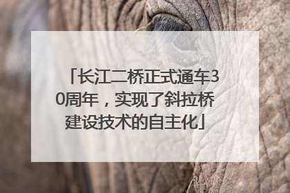 长江二桥正式通车30周年，实现了斜拉桥建设技术的自主化
