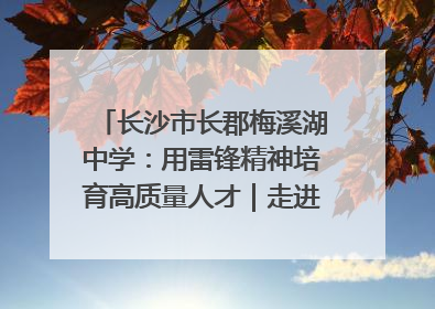长沙市长郡梅溪湖中学：用雷锋精神培育高质量人才｜走进新时代“雷锋传人 长沙榜样”