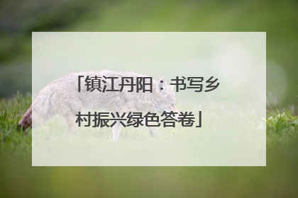 镇江丹阳：书写乡村振兴绿色答卷
