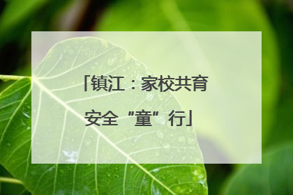 镇江：家校共育 安全“童”行