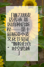 镰刀割麦话传承 基因育种启新程——第十届杨凌小麦文化节见证“颗粒归仓”时空跨越