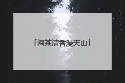 闽茶清香漫天山