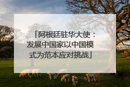 阿根廷驻华大使：发展中国家以中国模式为范本应对挑战