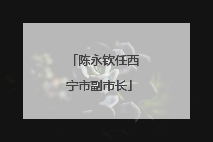 陈永钦任西宁市副市长